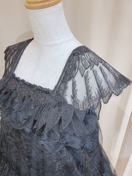 ORGANDY WING SHINY DRESS (BLACK)